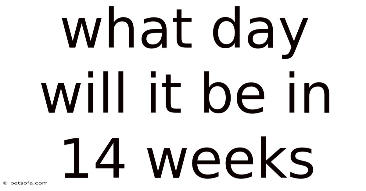What Day Will It Be In 14 Weeks