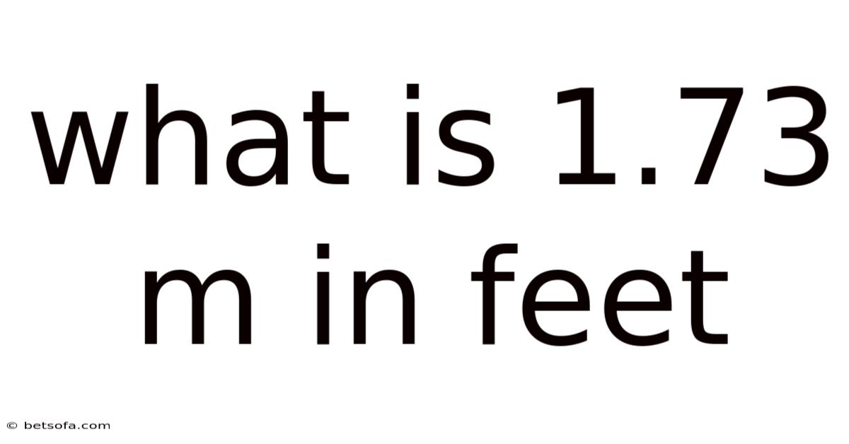 What Is 1.73 M In Feet