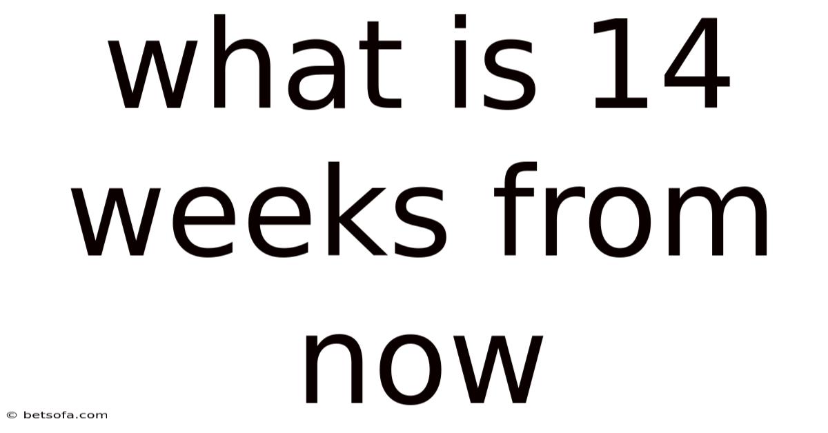 What Is 14 Weeks From Now