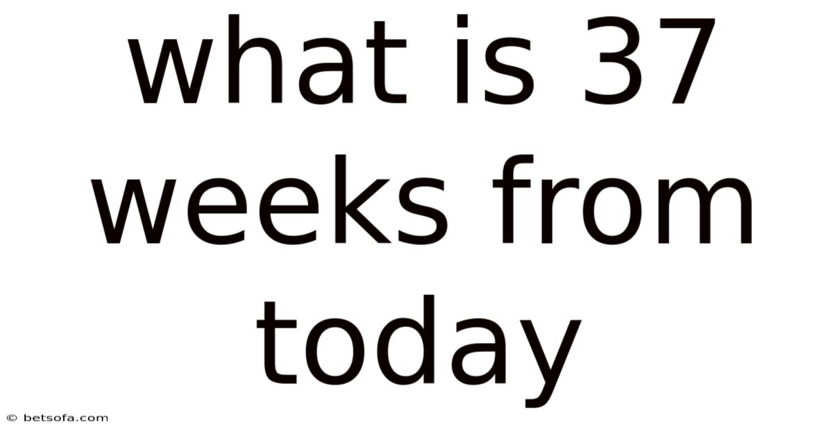 What Is 37 Weeks From Today