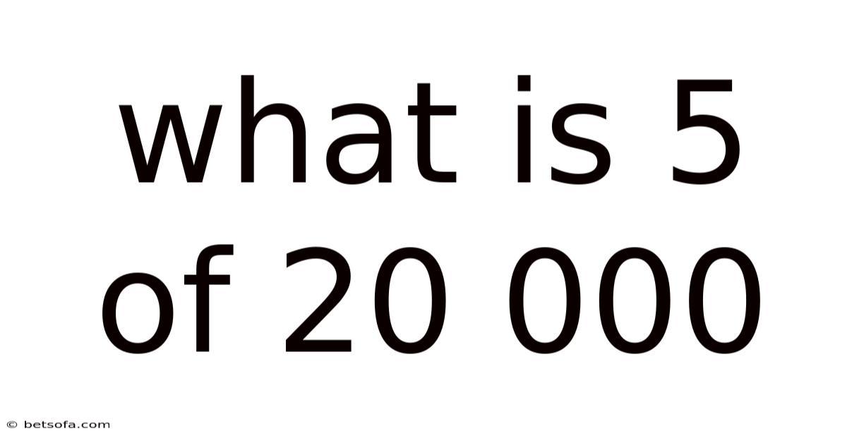 What Is 5 Of 20 000