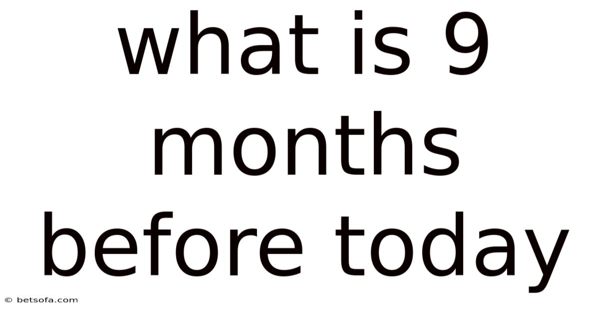 What Is 9 Months Before Today